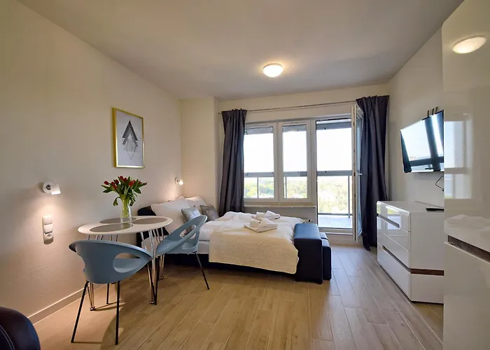 Onyx Seaview By Rent Like 米兹多洛杰